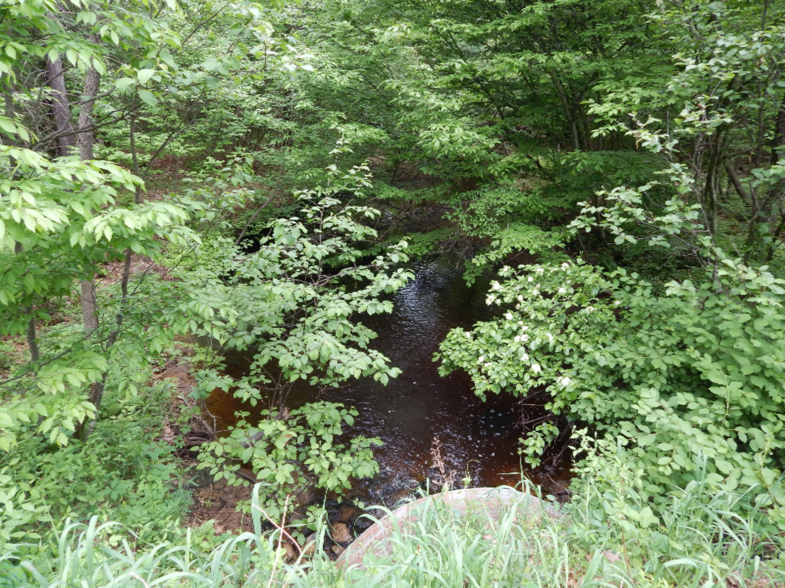 Terpak Road Manistee, MI 49660 - Photo 3 of 30 Culvert/Creek at road