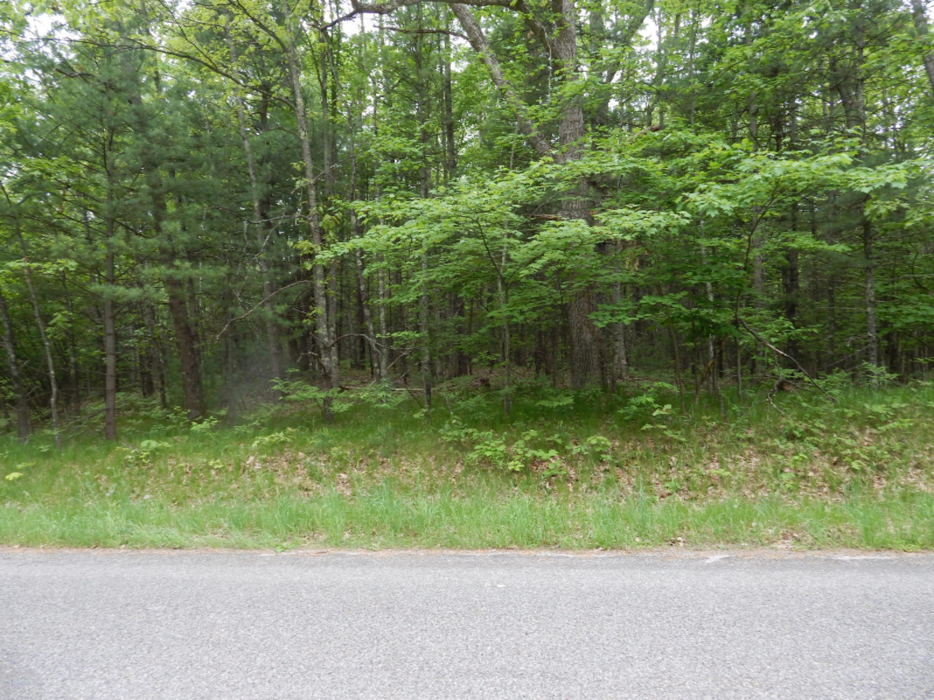 Terpak Road Manistee, MI 49660 - Photo 9 of 30 Looking west on property from road