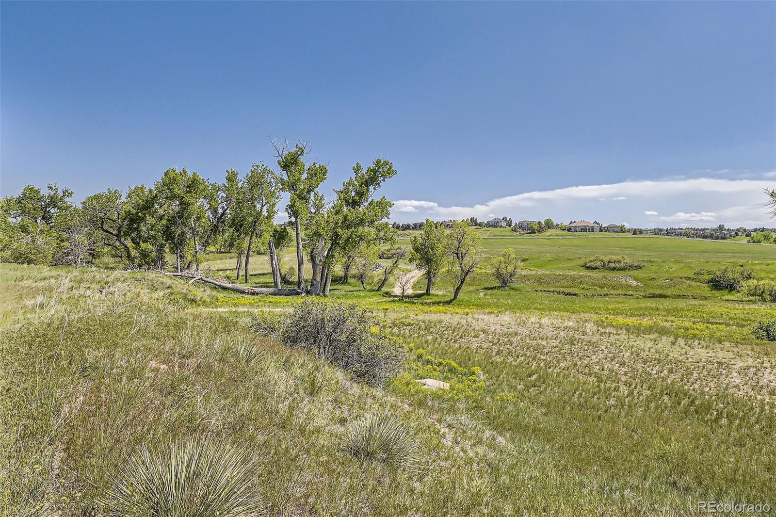 2 North Tomahawk Road Parker, CO 80138 - Photo 7 of 31
