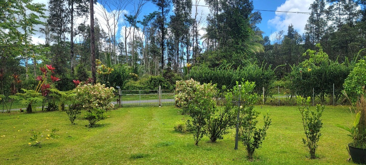 14-850 Flower Road Pahoa, HI 96778 - Photo 11 of 26 Gallery Image 11