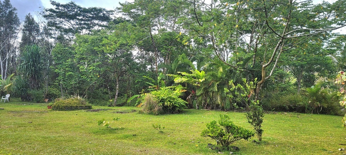 14-850 Flower Road Pahoa, HI 96778 - Photo 25 of 26 Gallery Image 25