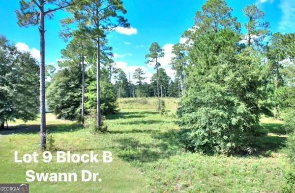 $22,900 | Tbd Swann Dr Lot 9 Block 9, Cordele, GA 31015