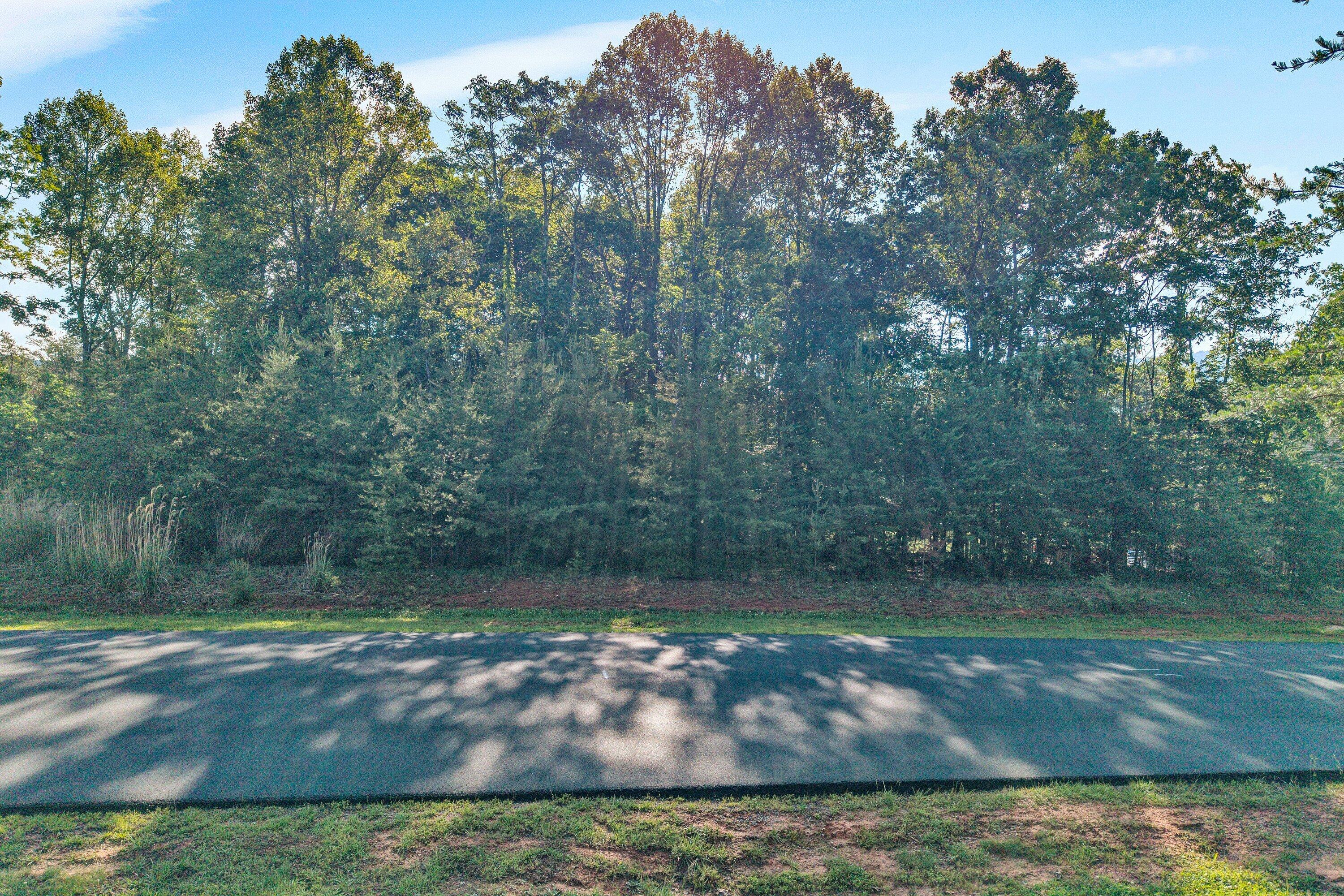 43 Thornblade Way Blue Ridge, VA 24064 - Photo 4 of 11 SGP-0004