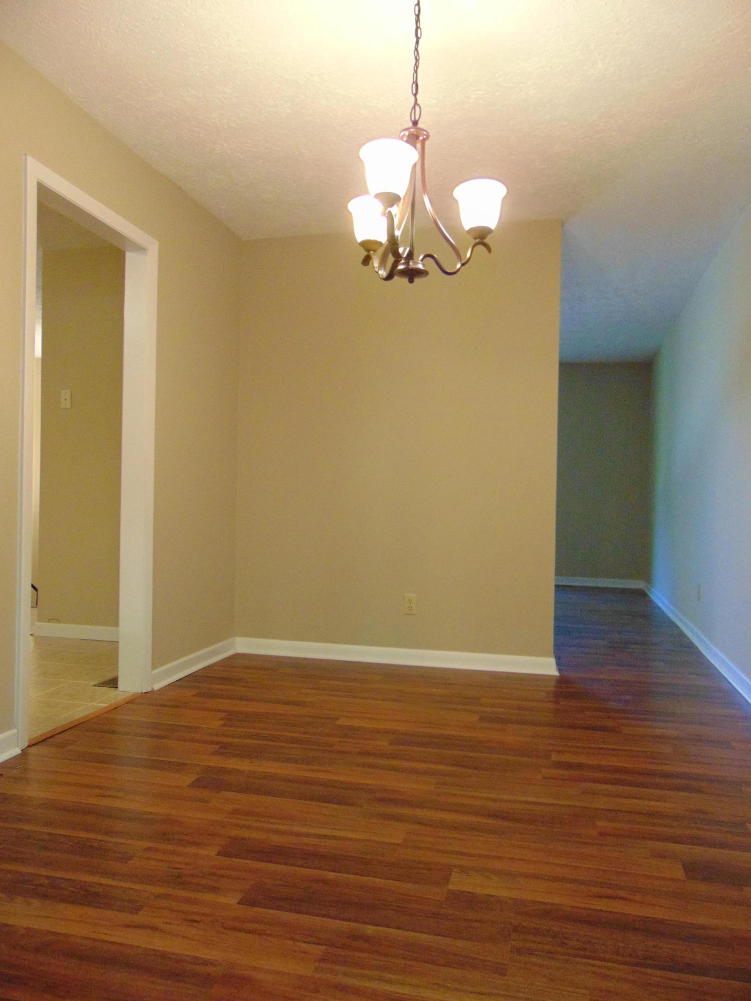 116 Trenton Drive Oak Ridge, TN 37830 - Photo 13 of 39 DSC01361
