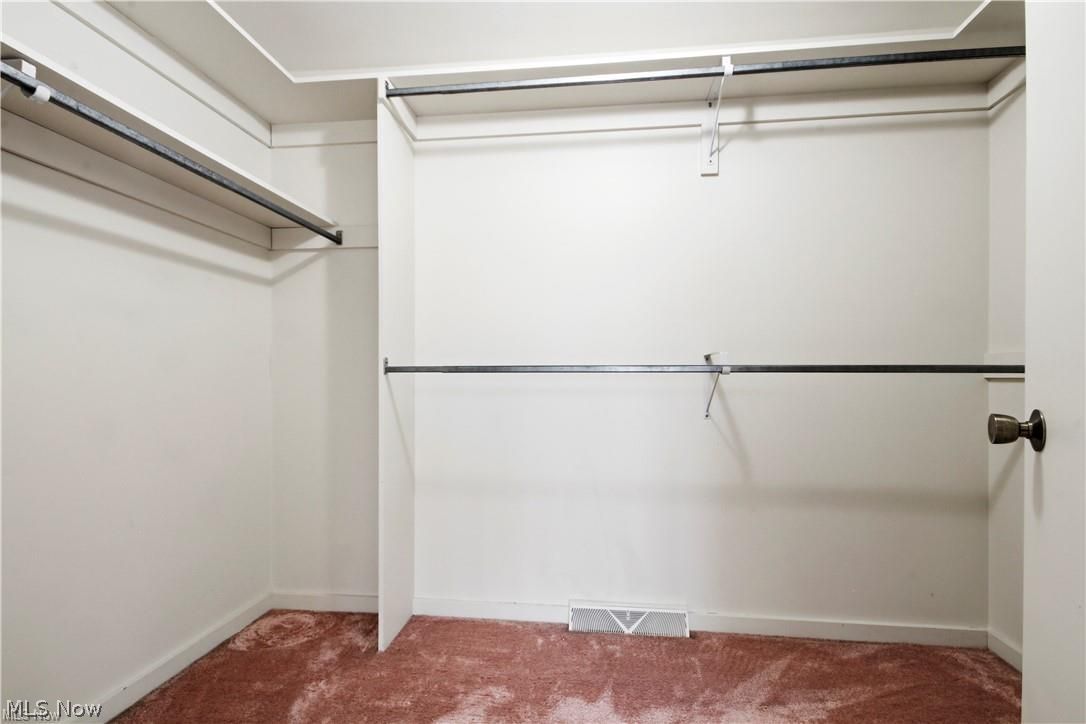1175 East Calla Road, Unit B103 Youngstown, OH 44514 - Photo 22 of 30 Primary Walk in Closet