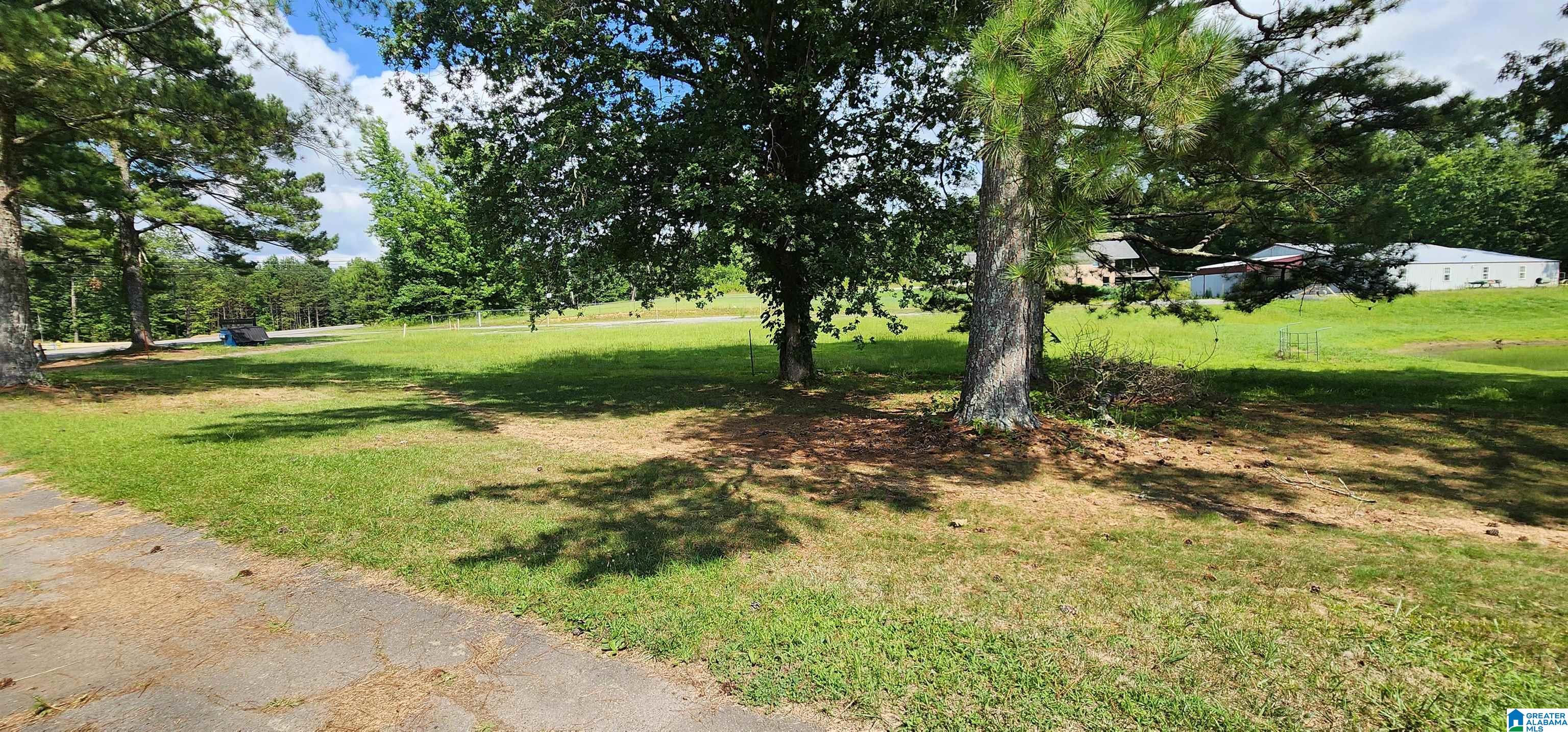 4204 County Road 29 Oneonta, AL 35121 - Photo 9 of 36