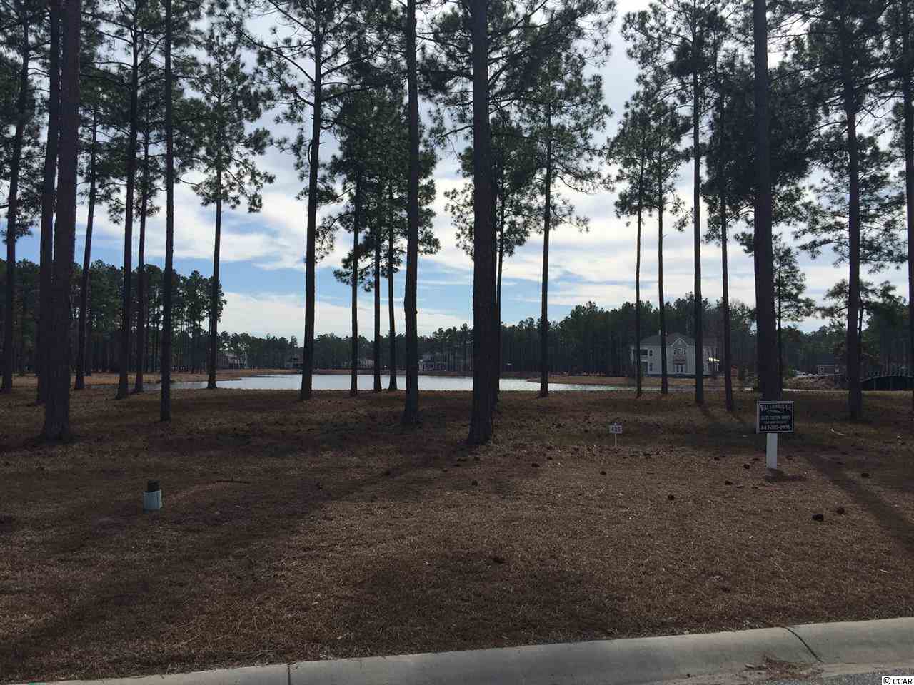 Lot 435 Cottage Shell Drive Myrtle Beach, SC 29579 - Photo 3 of 13 Gallery Image 3