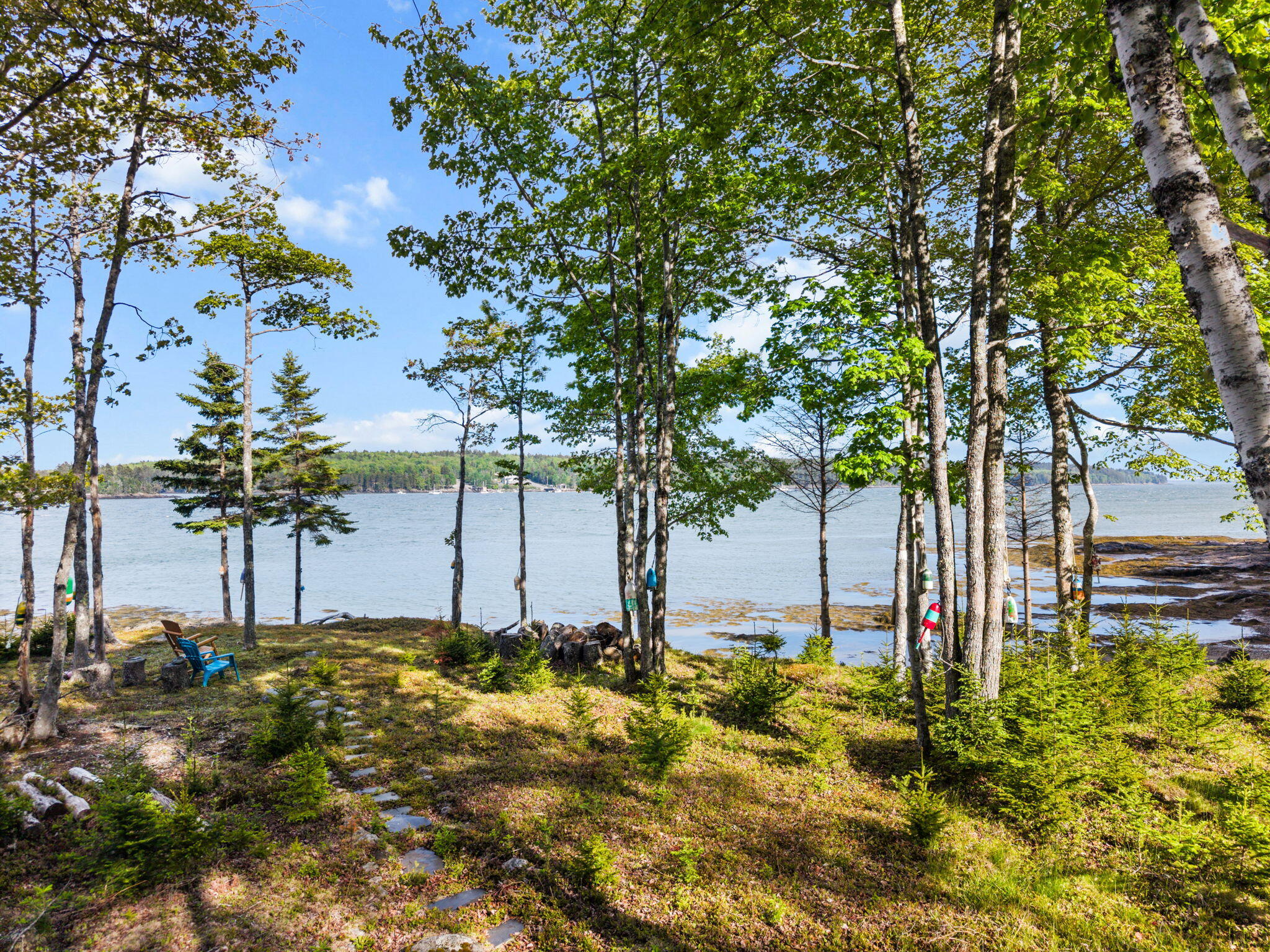 566 Rays Point Road Milbridge, ME 04658 - Photo 15 of 24 14-web-or-mls-566 Rays Point Rd, Milbrid