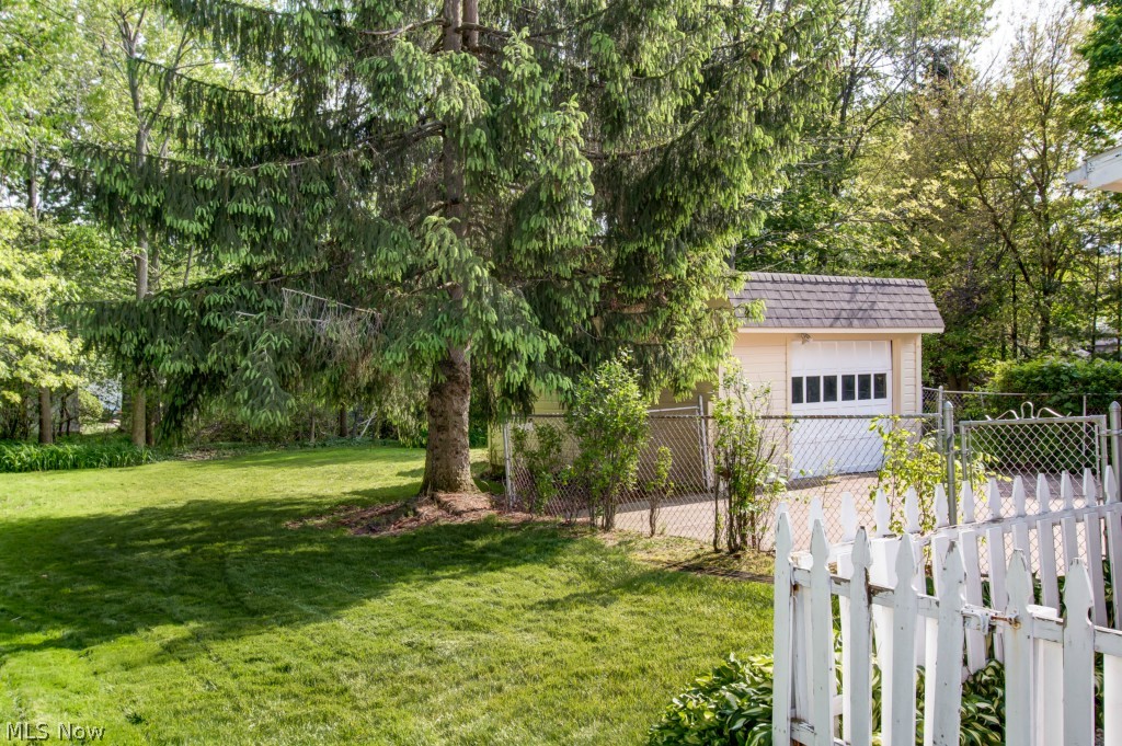 5384 Summit Road Lyndhurst, OH 44124 - Photo 27 of 30 Majestic pine tree in back yard...