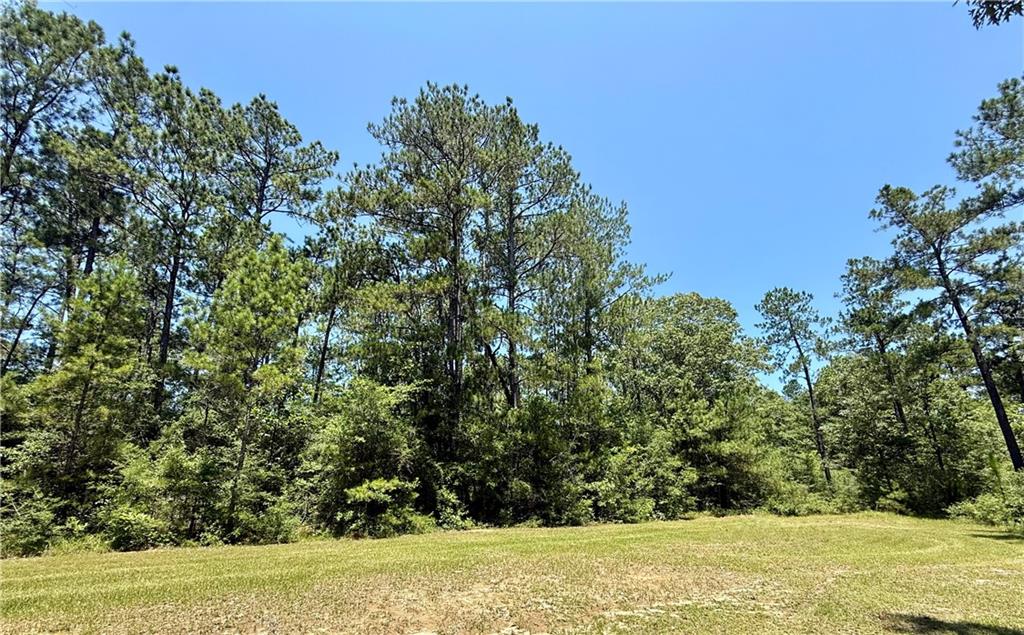0 Lake Choctaw Road Franklinton, LA 70438 - Photo 2 of 4