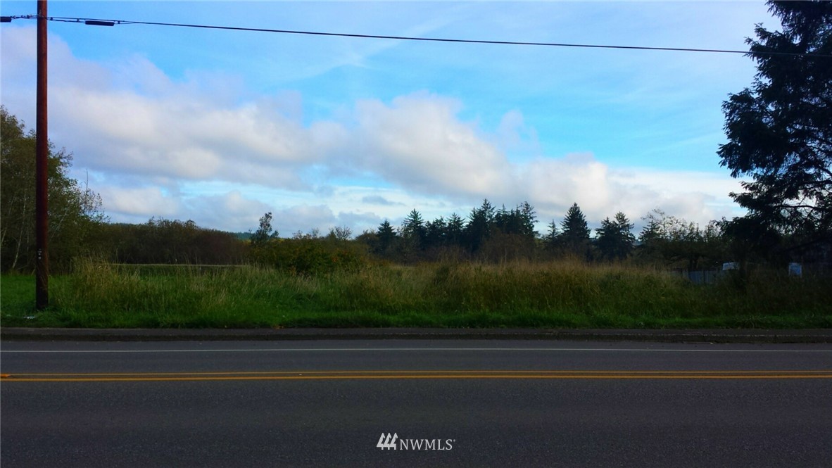 0 Highway 101 Cosmopolis, WA 98537 - Photo 1 of 3 Gallery Image 1