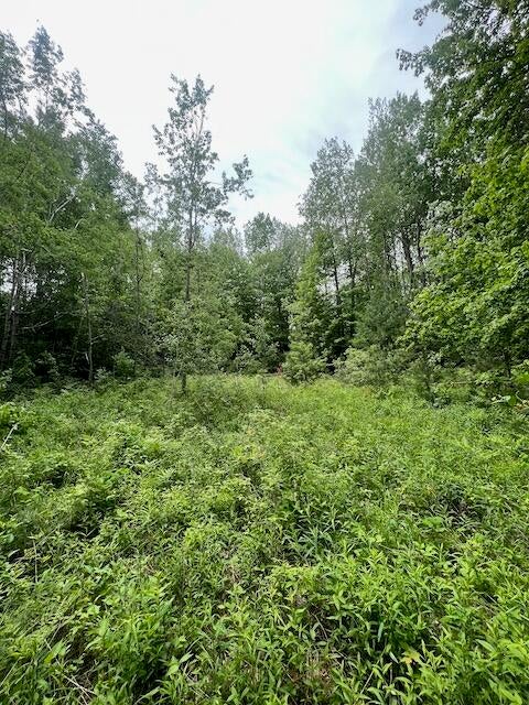 Ray Road Mio, MI 48647 - Photo 17 of 30 Gallery Image 17