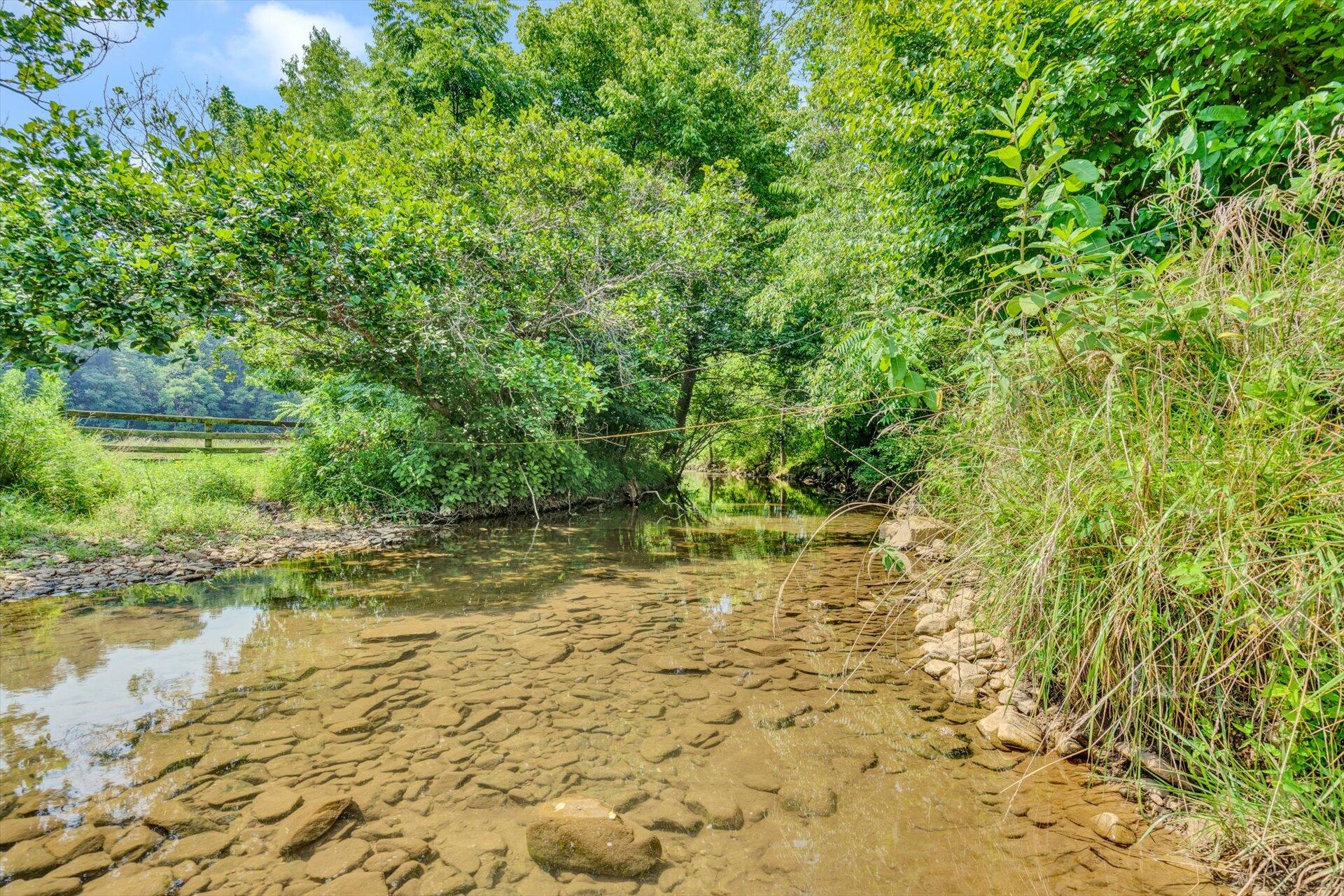 0 Dillons Mill Road Callaway, VA 24067 - Photo 15 of 16 STREAM