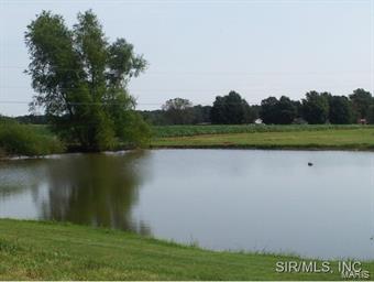 10333 Paradise Road Chester, IL 62233 - Photo 12 of 24