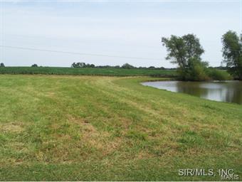 10333 Paradise Road Chester, IL 62233 - Photo 3 of 24