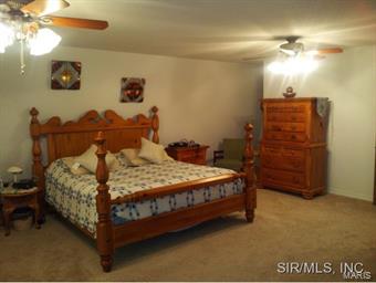 10333 Paradise Road Chester, IL 62233 - Photo 10 of 24
