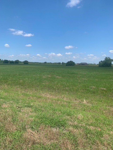 498 Brahman Trail Angleton, TX 77515 - Photo 4 of 11 a view of a green field with an ocean