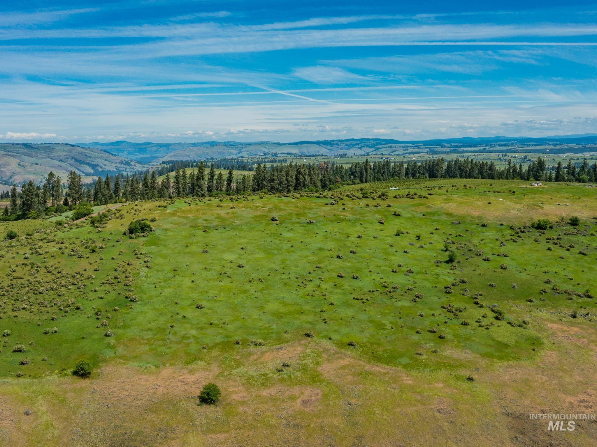 Tbd Brotnov Road Stites, ID 83552 - Photo 16 of 28