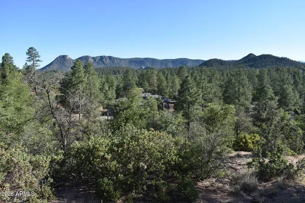a view of a lush green forest with trees in the background