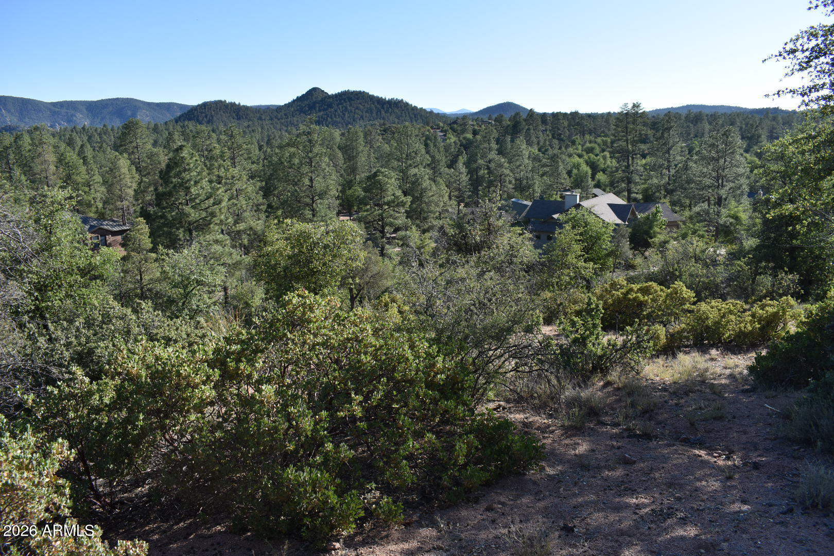 Lot 19 East Pine Ridge Drive, Unit 19 Payson, AZ 85541 - Photo 5 of 8 a view of a forest with mountains in the background