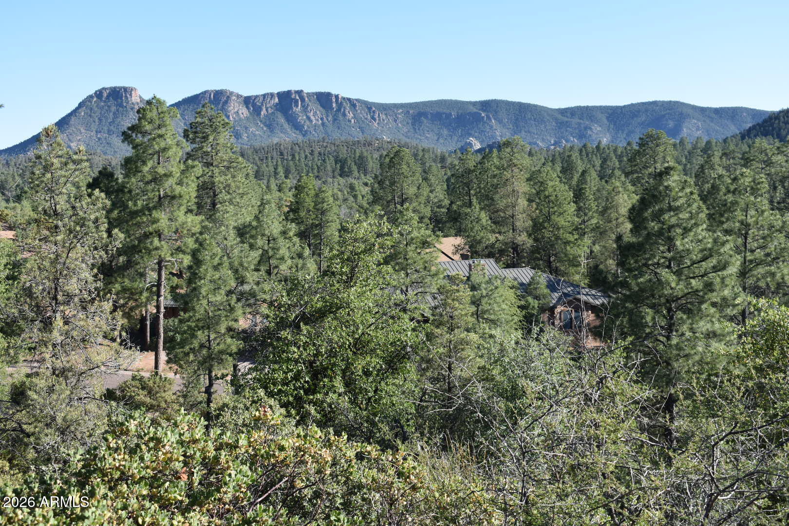 Lot 19 East Pine Ridge Drive, Unit 19 Payson, AZ 85541 - Photo 6 of 8 a view of a lush green forest with trees in the background