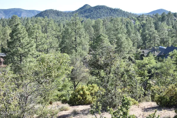 $174,000 | Lot 19 East Pine Ridge Drive, Unit 19, Payson, AZ 85541