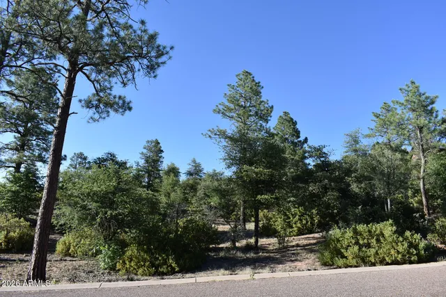 $174,000 | Lot 19 East Pine Ridge Drive, Unit 19, Payson, AZ 85541