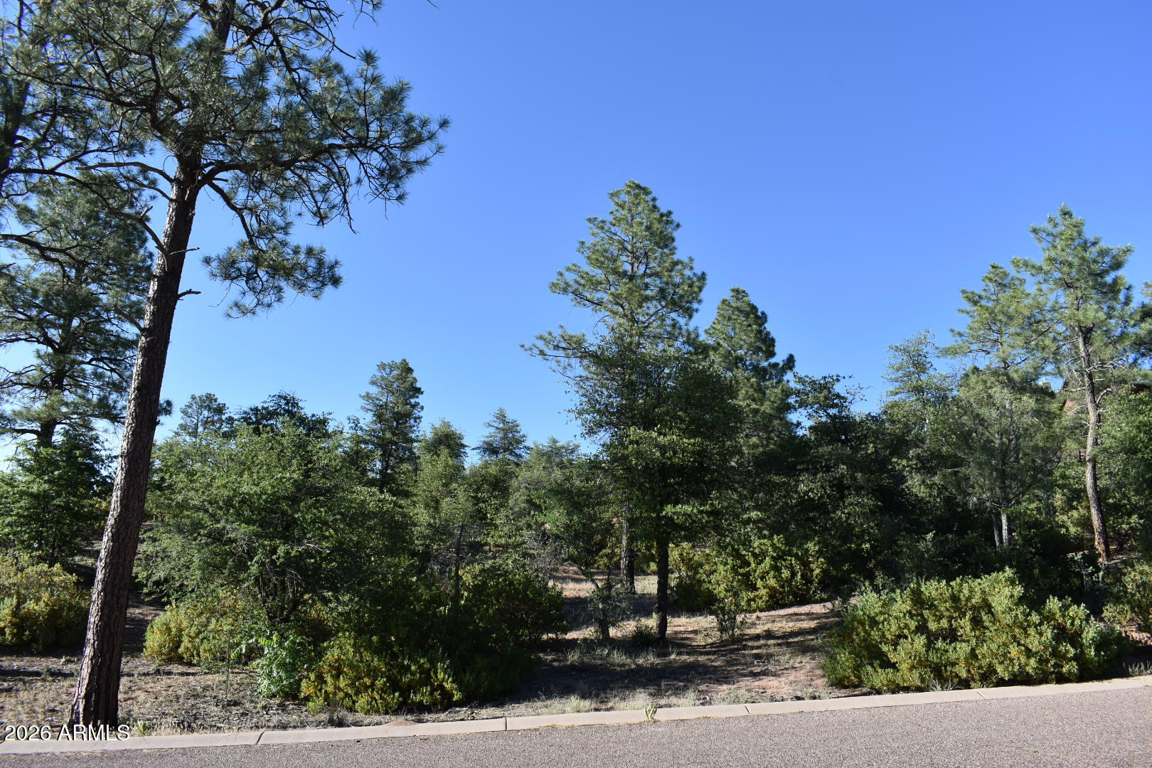 Lot 19 East Pine Ridge Drive, Unit 19 Payson, AZ 85541 - Photo 8 of 8 a view of a street