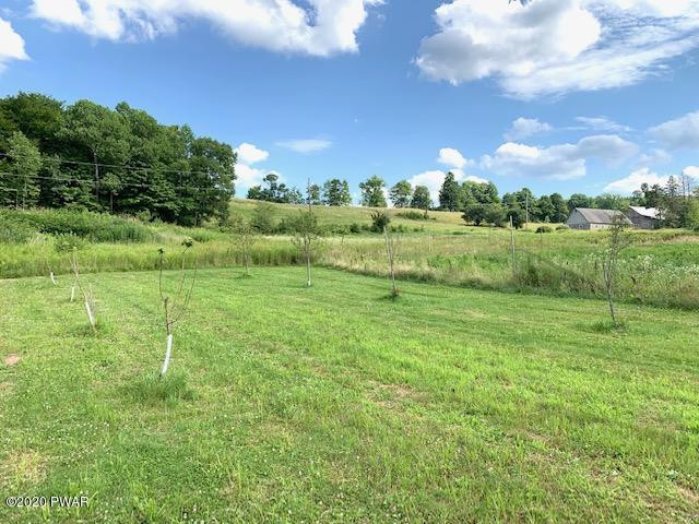 211 Schuman Road Damascus, PA 18415 - Photo 67 of 115 Fruit Trees