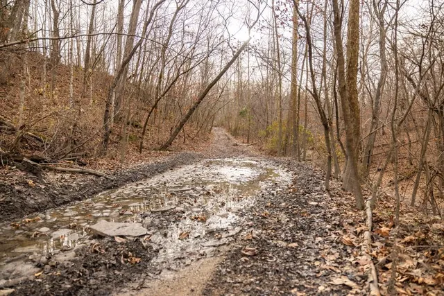 $3,952,000 | 35900 10th Highway, Rayville, MO 64084