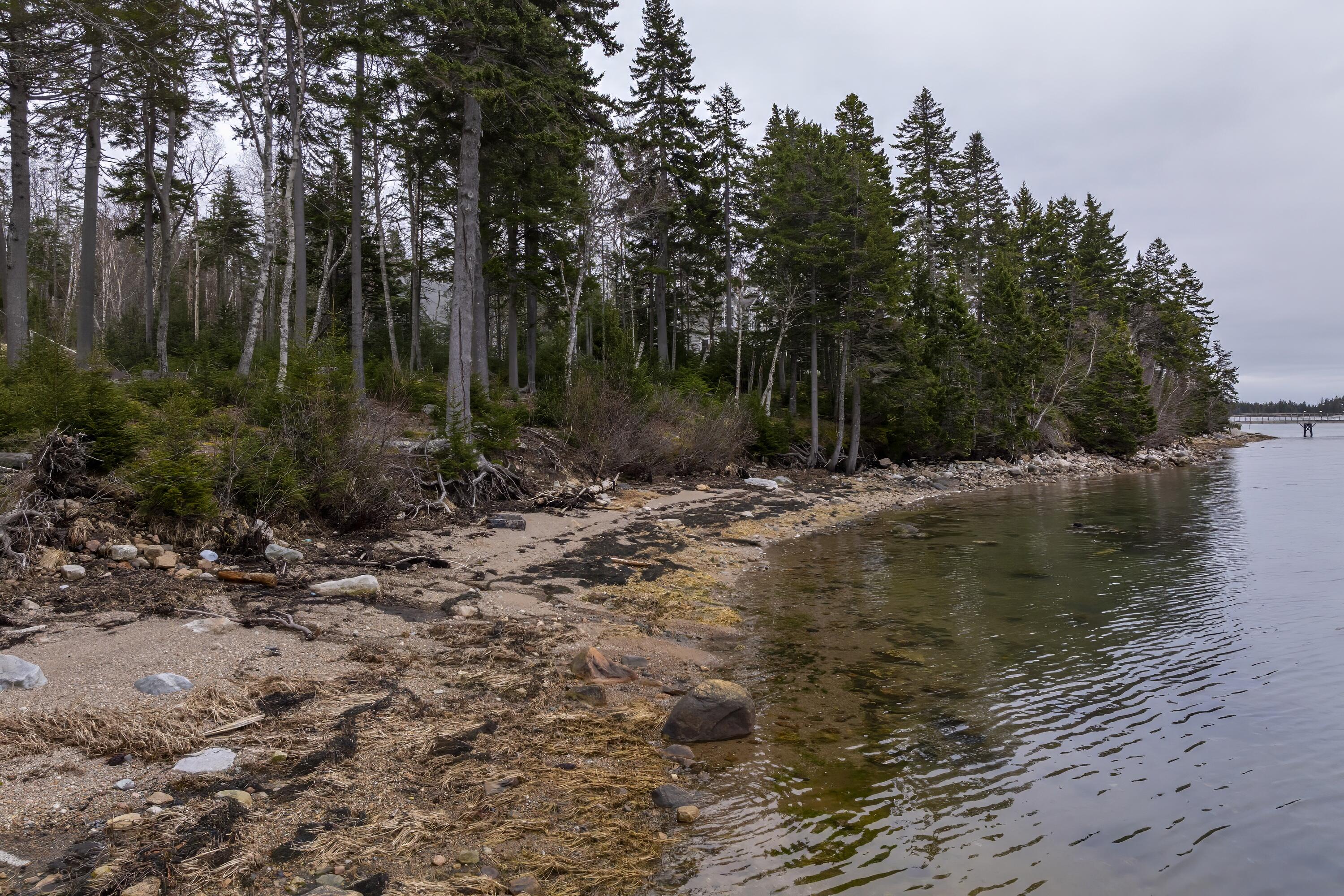 106 Sunset Bay Drive Steuben, ME 04680 - Photo 7 of 82 77-106 Sunset Bay Drive HiRes-DTP