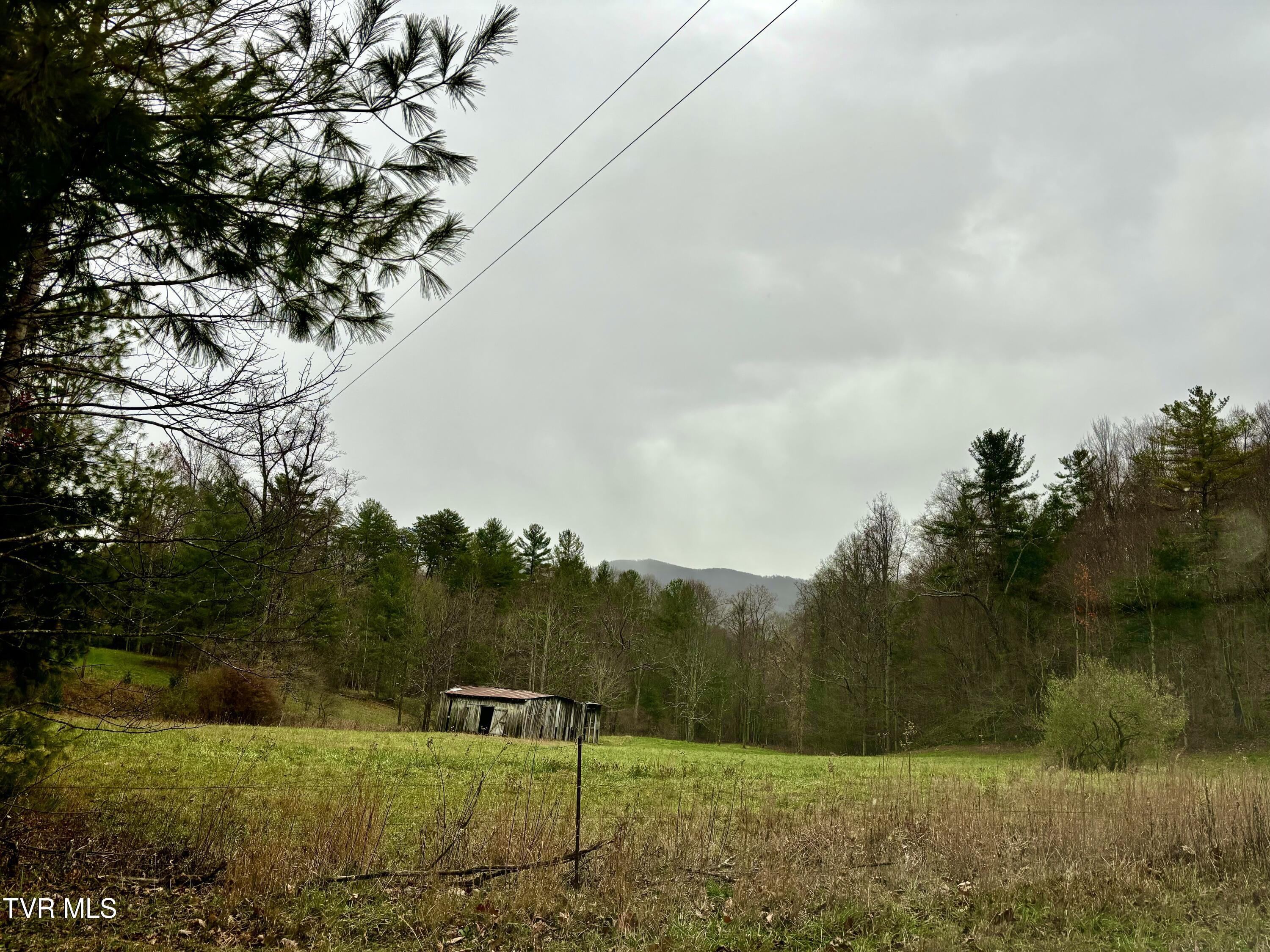 Tbd Campbell Road Unicoi, TN 37692 - Photo 1 of 11 IMG_9423