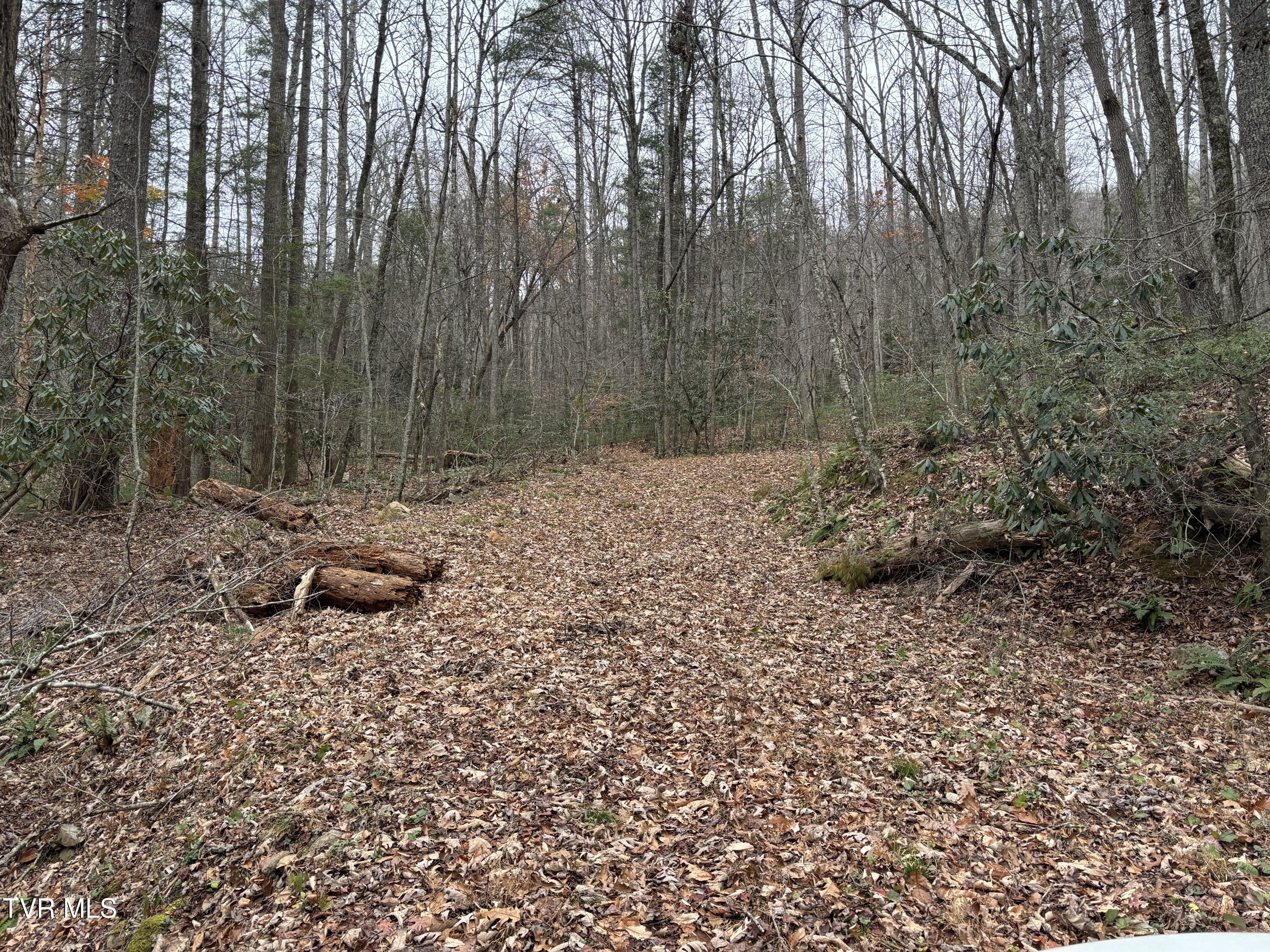 Tbd Campbell Road Unicoi, TN 37692 - Photo 3 of 11 IMG_9430