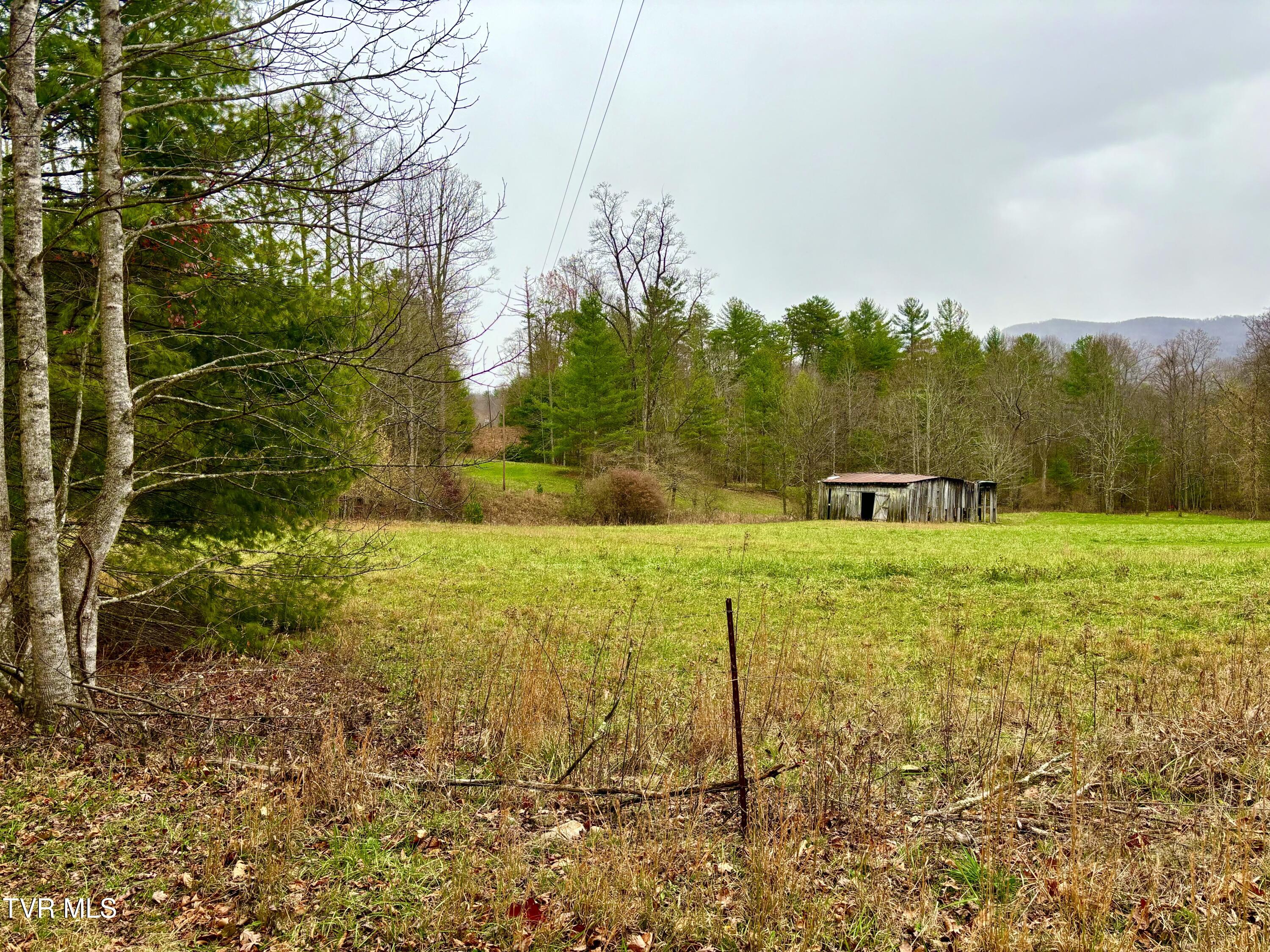 Tbd Campbell Road Unicoi, TN 37692 - Photo 6 of 11 IMG_9426