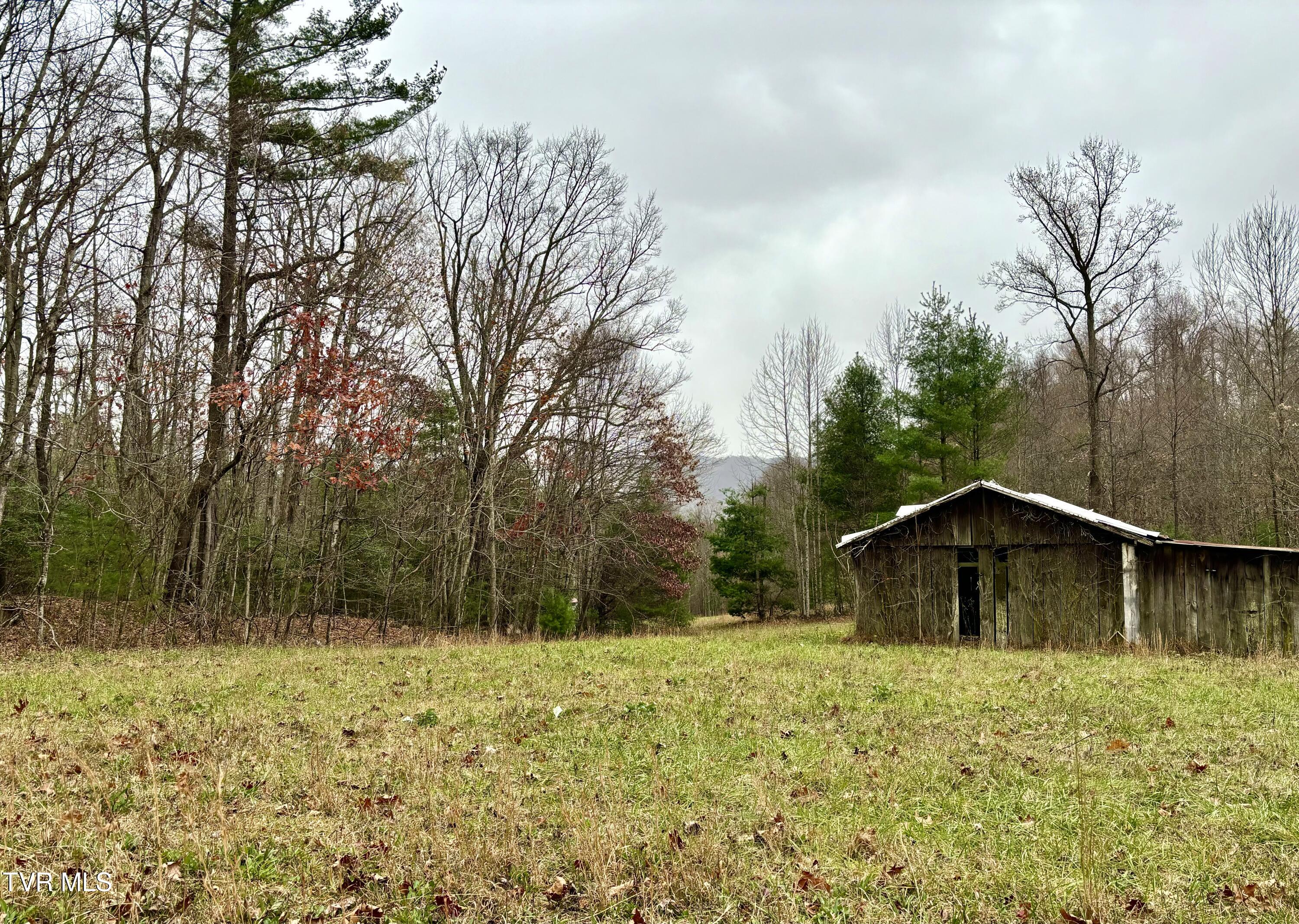 Tbd Campbell Road Unicoi, TN 37692 - Photo 7 of 11 IMG_9422