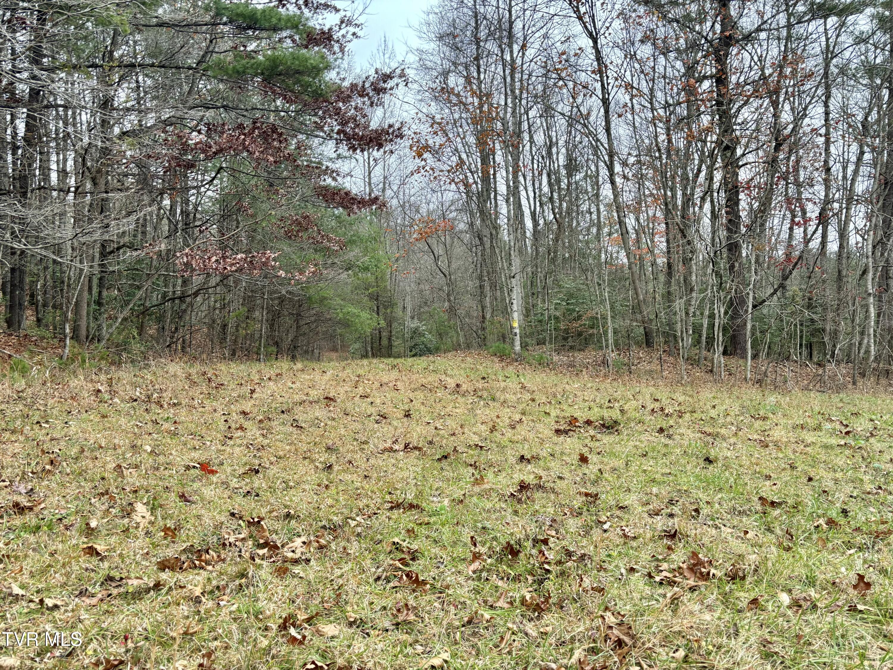 Tbd Campbell Road Unicoi, TN 37692 - Photo 8 of 11 IMG_9419