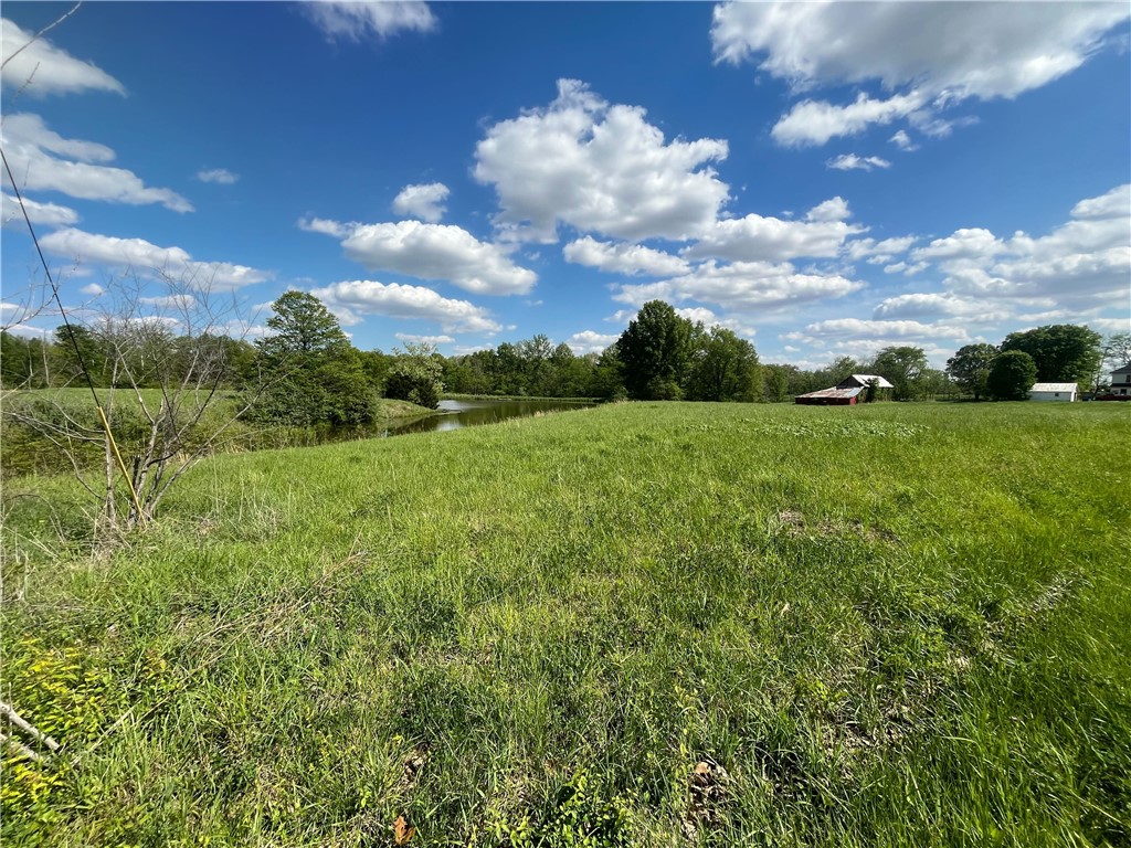 10828 North Grand Turn Road Marshall, IL 62441 - Photo 9 of 12