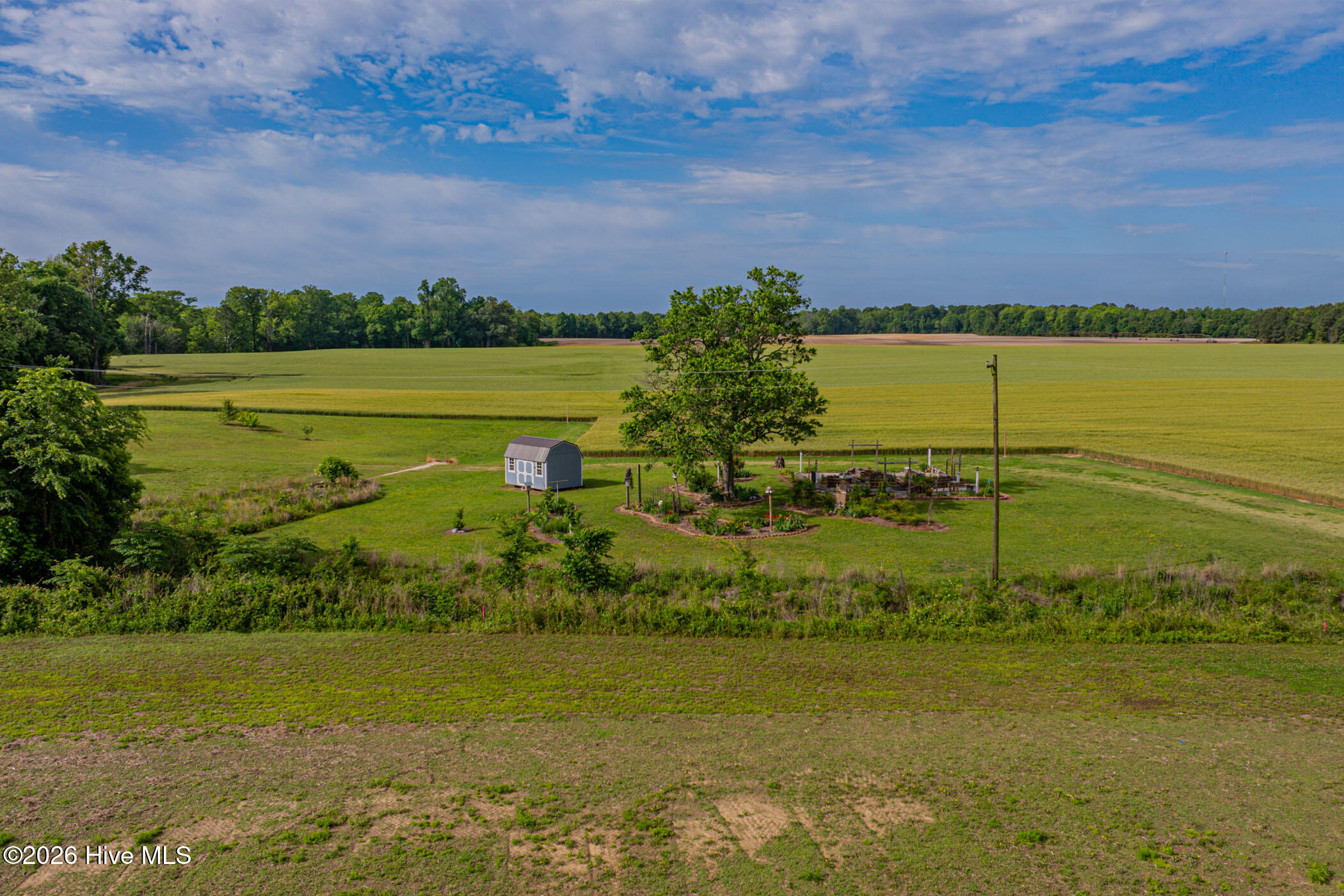 247 Wildcat Road Edenton, NC 27932 - Photo 11 of 20 Surrounding farmland