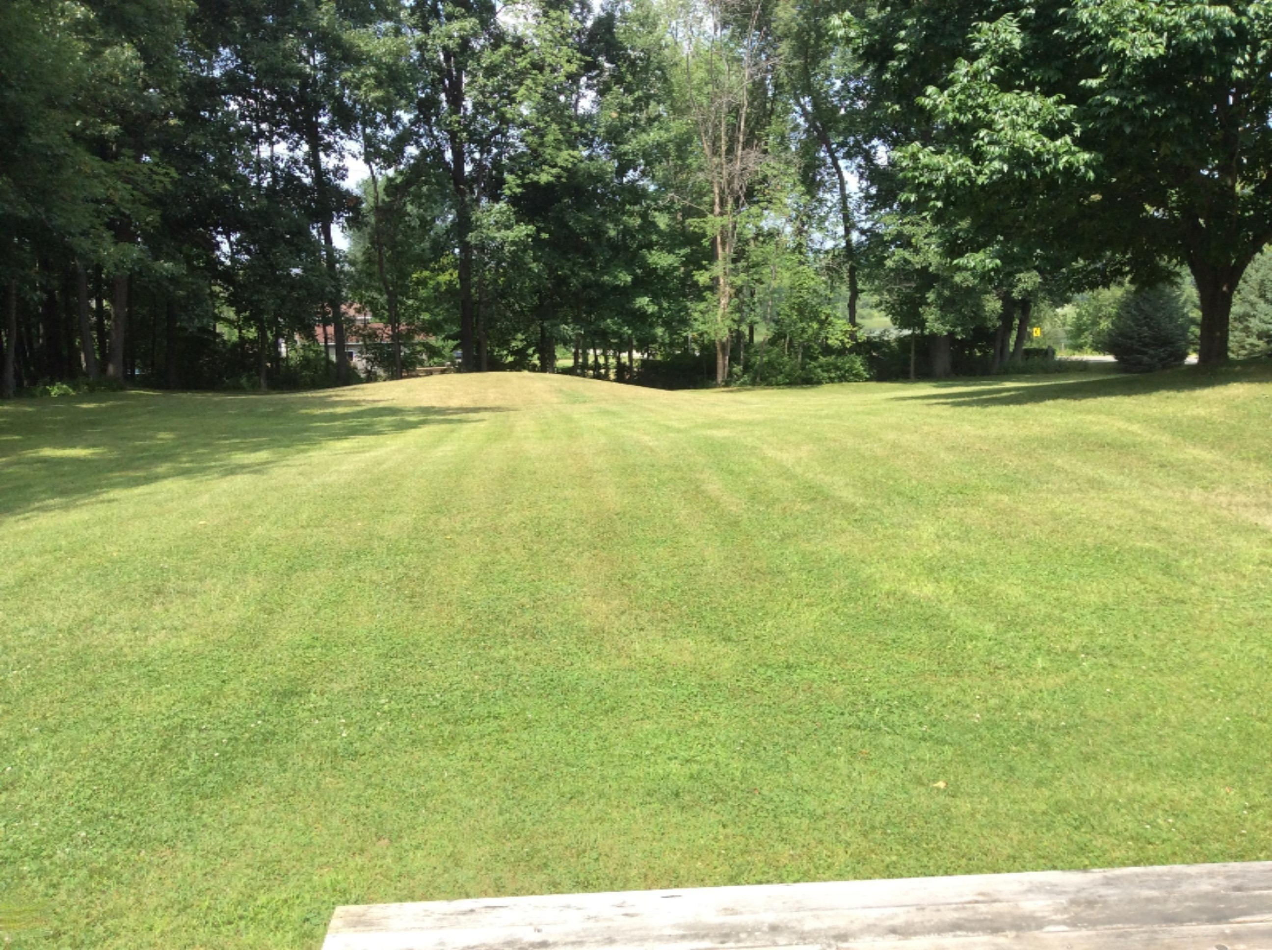 8059 Lessiter Road Northeast Rockford, MI 49341 - Photo 42 of 42 Rear Yard