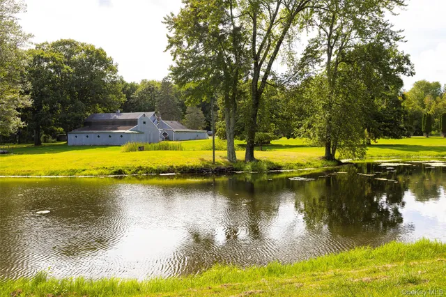 a view of yard with swimming pool and trees in the background
