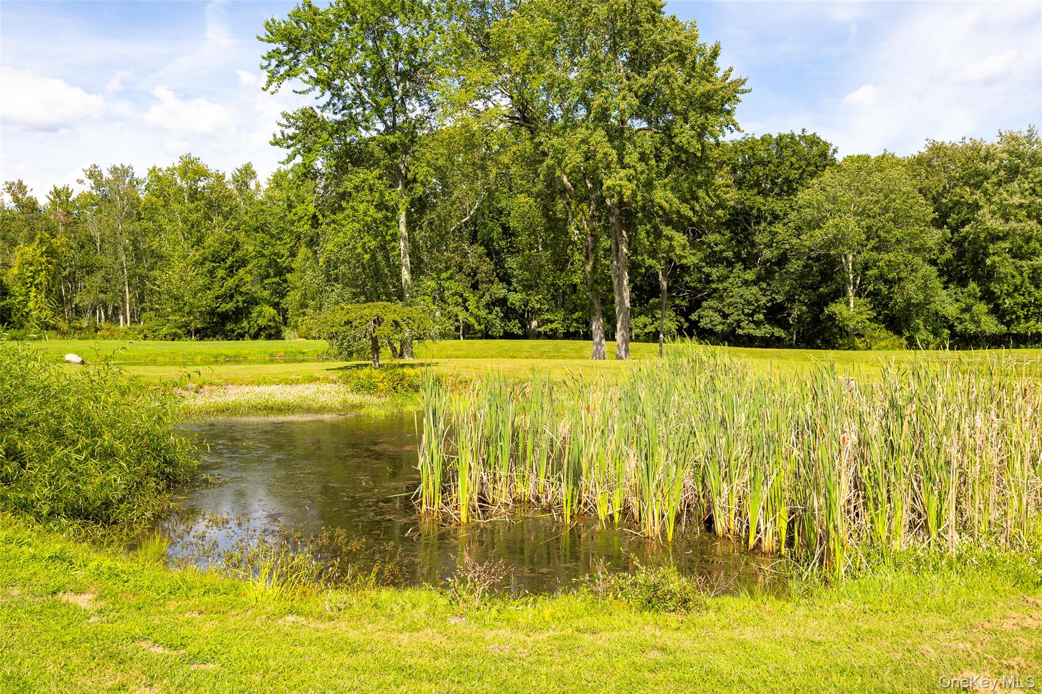 89 Deer Pond Road Verbank, NY 12585 - Photo 38 of 40 a view of yard with swimming pool and trees in the background