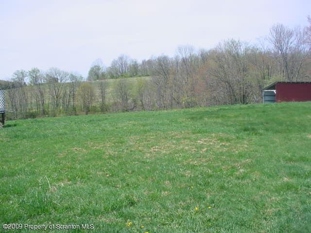 Rr Springville, PA 18844 - Photo 8 of 9 a view of a yard with an trees