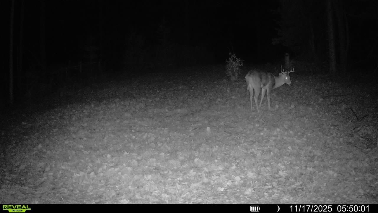 Vl South 27 Road Cadillac, MI 49601 - Photo 12 of 45