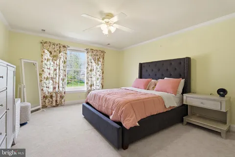 a view of city and ocean