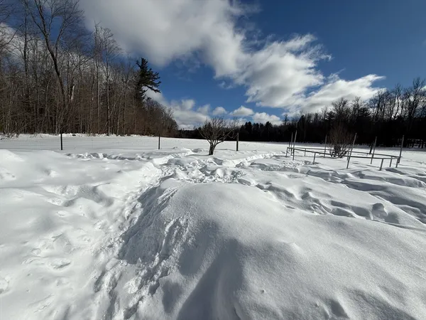 a view of a yard with snow on the road