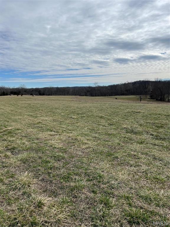 0 Highway N Angus Lane Patterson, MO 63956 - Photo 21 of 76