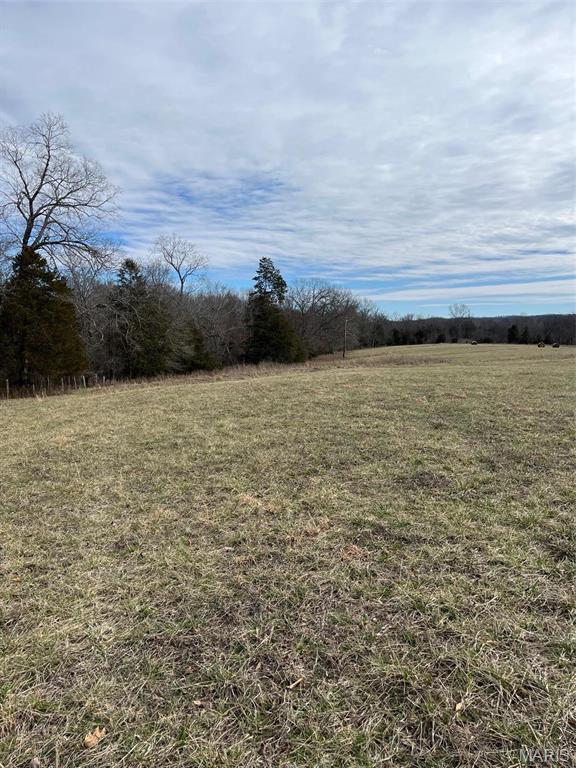 0 Highway N Angus Lane Patterson, MO 63956 - Photo 23 of 76