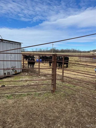 $1,500,000 | 0 Highway N Angus Lane, Patterson, MO 63956
