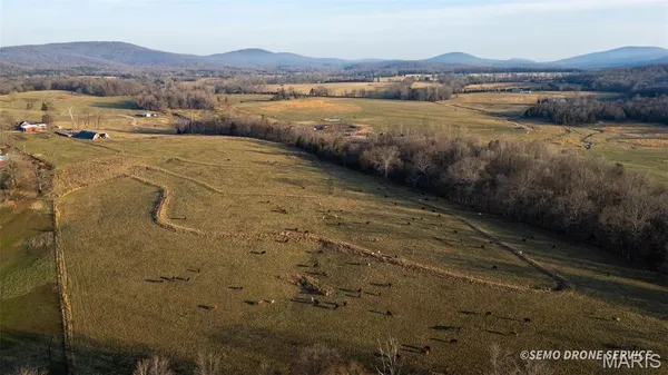 $1,500,000 | 0 Highway N Angus Lane, Patterson, MO 63956