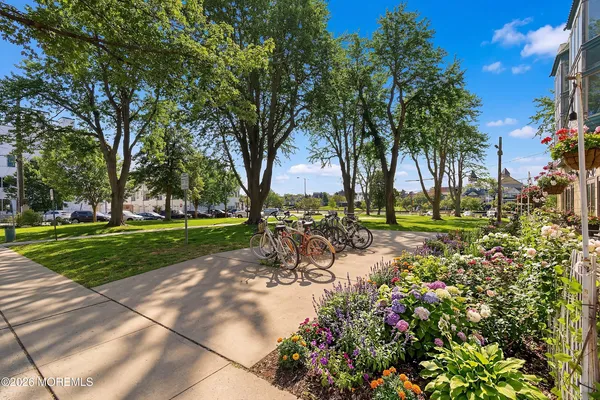 a view of a park with large trees